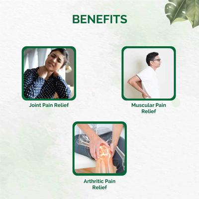 Dr. Vaidya's Nirgundi Oil (Pack of 2 x 100 ml) - Speciality Medicines