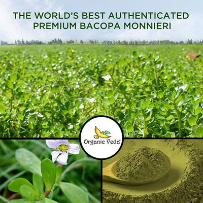 Organic Veda Bacopa Powder 454 gm - Pure Herbs