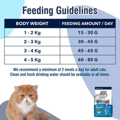 Kitty Yums Dry Persian Cat Food, Ocean Fish 3000 gm - Petfood
