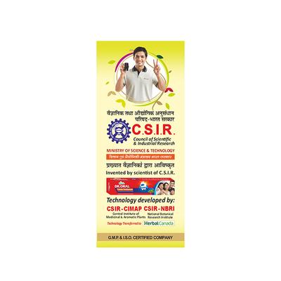 Herbal Canada Cheed Tail (Pack of 2 x 50 ml) - Pain Relief (Ayush)