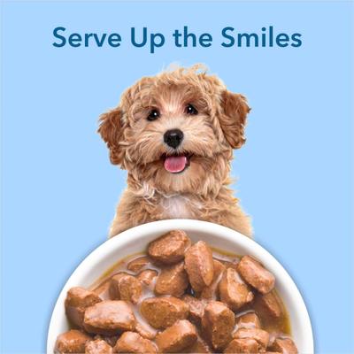 Purepet Wet Dog Food, Chicken and Vegetable Chunks in Gravy, 15 Pouches (15 x 70g) 1050 gm - Petfood