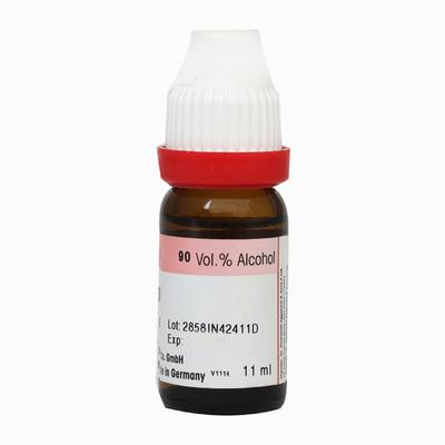 Dr. Reckeweg Cicuta Virosa 6 Liquid 11 ml - Dilutions