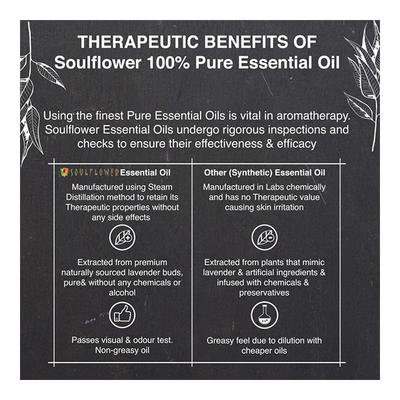 Soulflower Essential Oil - Eucalyptus 15 ml - Essential Oils