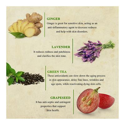 Bioayurveda Basics Deep Detox Body Scrub Creme 20 gm - Scrubs & Exfoliants