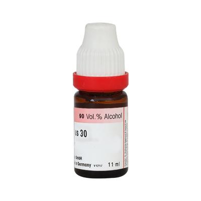 Dr. Reckeweg Verbascum Thapsus 30 Liquid 11 ml - Dilutions