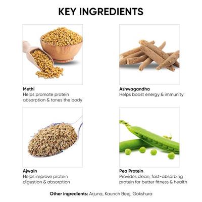 Dr. Vaidya's Plant Protein Powder - Chocolate 500 gm - Protein Drink