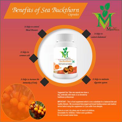 Mint Veda Sea Buckthorn 500 mg Veg Capsule (Pack of 3 x 60's) - Herbal Dietary Supplement
