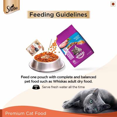 Sheba Feast of Flakes for Cats - Fish with Sasami (Pack of 35 gm x 12) 1's - Petfood