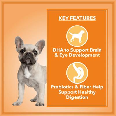 Let's Bite Active Adult Dry Dog Pet Food with Real Chicken Egg Chicken Liver (Extra Free 1Kg) 10 kg - Petfood