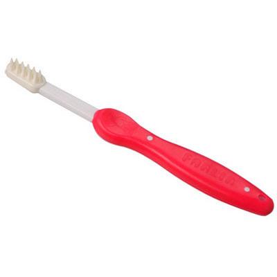 Farlin Training Toothbrush (8 - 14 months) - Red 1's - Baby Oral Care
