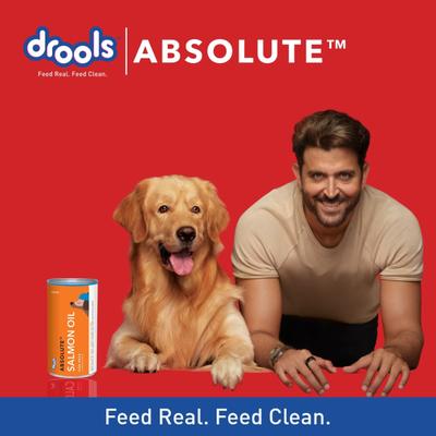 Drools Absolute Salmon Oil Syrup- Dog Supplement 300 ml - Petfood