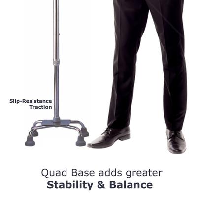 EasyCare Aluminium Walker Stick (EC924) - Others