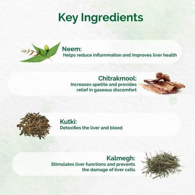 Dr.Vaidya's LIVAYU - Liver Protector Capsules (Pack of 2 x 30's) - Speciality Medicines