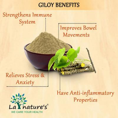La nature's Giloy 500 mg Capsule 60's - Herbal Dietary Supplement