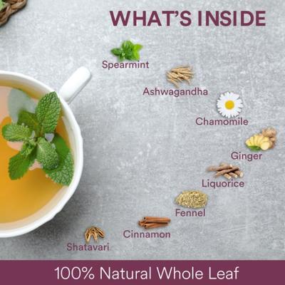 The Tea Ark Tea For Her Tea - Organic Spearmint 100 gm (Tin) - Herbal/Green Teas