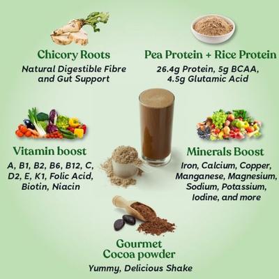 Kapiva Vegan Protien Post-workout Powder - Chocolate Flavour 1 kg - Health Products