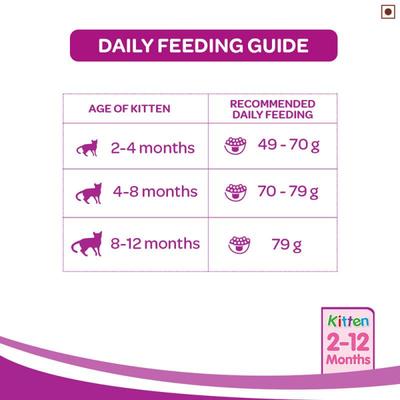 Whiskas Junior Mackerel Flavor 450 gm - Petfood