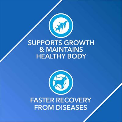 Drools Absolute Vitamin Tablet- Dog Supplement 50's - Petfood