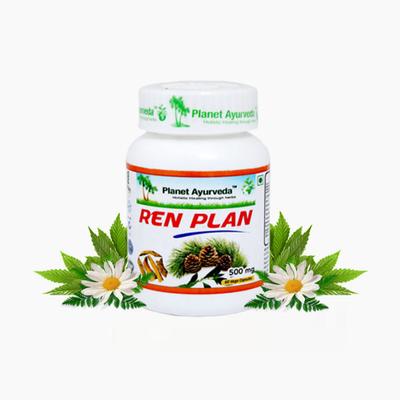 Planet Ayurveda Ren Plan Capsules 60's - Speciality Medicines