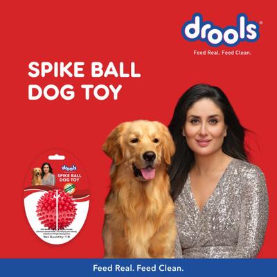 Drools Non-Toxic Rubber Stud Spike Hard Ball Chew Toy, Puppy/Dog Teething Toy - 3 inches 1's - Pet accessories
