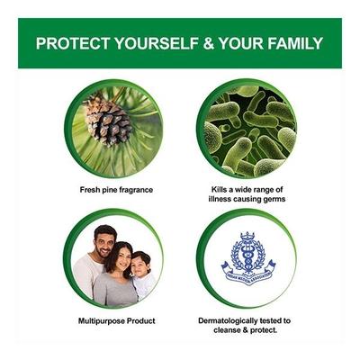 Dettol Antiseptic Liquid 110 ml - Wound/Burns