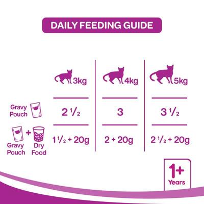 Whiskas Adult Salmon in Gravy (Pack of 85gm x 48) 4080 gm - Petfood