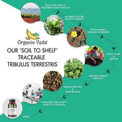 Organic Veda Tribulus Terrestris Extra Strength Veg Capsule 120's - Sexual Healthcare