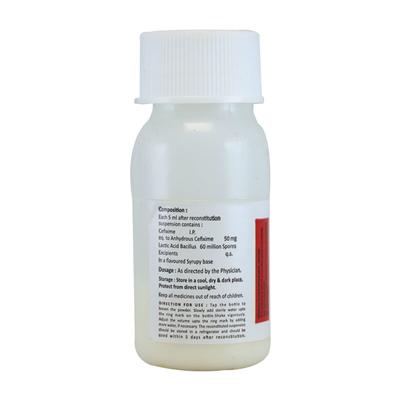 ZETAX O 50 LBS Dry Syrup 30ml - Bacterial Infections-Cep