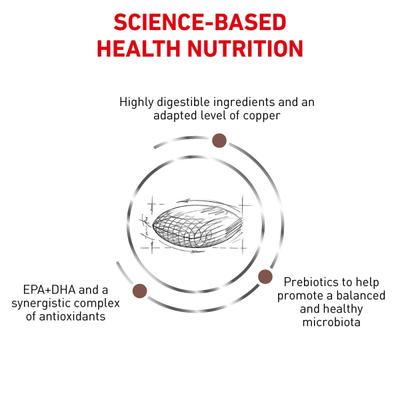 Royal Canin Veterinary Hepatic Dry Dog Food 6 kg - Petfood