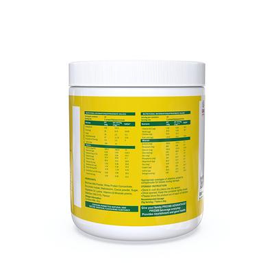 Pro360 Adult Weight Gainer Nutritional Powder - Chocolate Flavour 250 gm - Weight Gain