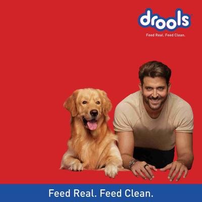 Drools Puppy Starter Dog Food 3000 gm - Petfood