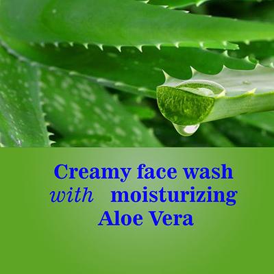 Goree Brightening Face Wash with Lycopene - Aloevera 100 ml - Face Washes