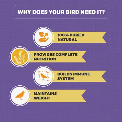 Petvit Parrot Food for Big Parrot 1000 gm - Petfood