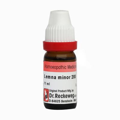Dr. Reckeweg Lemna Minor 200 Liquid 11 ml - Dilutions