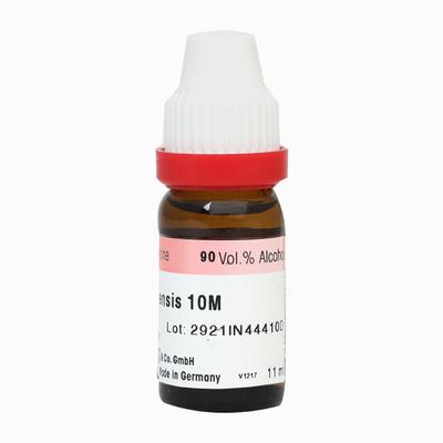 Dr. Reckeweg Cistus Canadensis 10M Liquid 11 ml - Dilutions