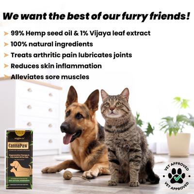 Wiggles CannaPaw Hemp Oil Extract for Dogs Cats Pain Anxiety Relief Spray 30 ml - Pet Healthcare