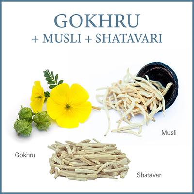 AADAR Endure 500 mg for Vigor that Lasts Capsule 60's - Sexual Healthcare