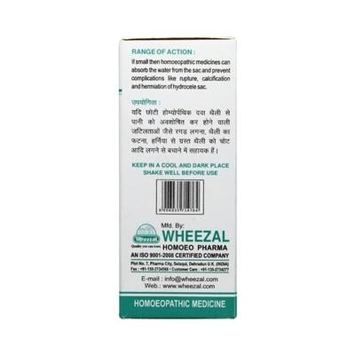 Wheezal Wl-53 Hydrocele Drops 30ML - Homeopathic Drops