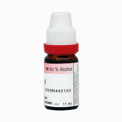 Dr. Reckeweg Aethusa Cynapium 6 Liquid 11 ml - Dilutions