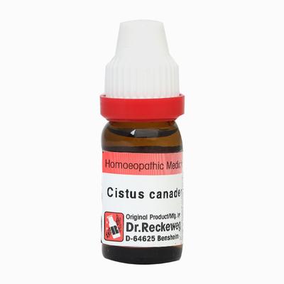 Dr. Reckeweg Cistus Canadensis 1M Liquid 11 ml - Dilutions