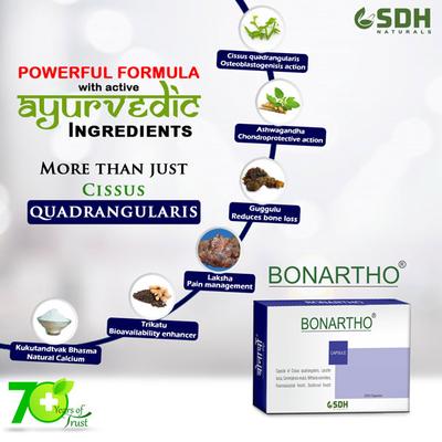 Shree Dhanwantri Herbals Bonartho Capsule (Pack of 2 x 30's) - Speciality Medicines
