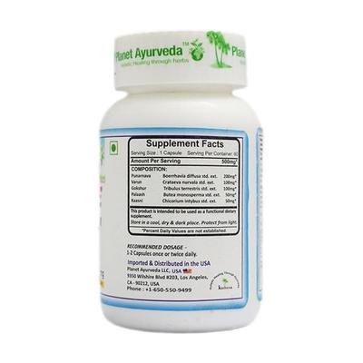Planet Ayurveda Rencure Formula Capsules 60's - Speciality Medicines