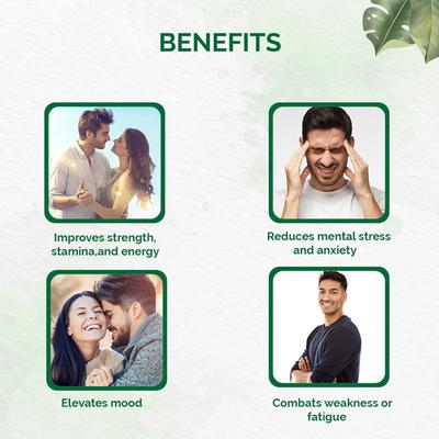 Dr.Vaidya's Shilajit Gold Capsule (Pack of 3 x 30's) - Pure Herbs