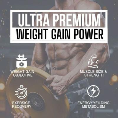 Zenius Weight Gain Powder 500 gm - Speciality Medicines