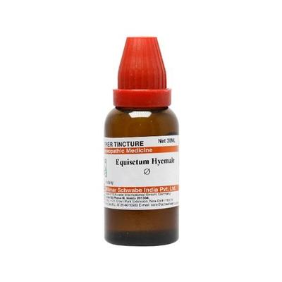 Dr.Willmar Schwabe Equisetum Hyemale Ø Liquid 30 ml (N) - Dilutions