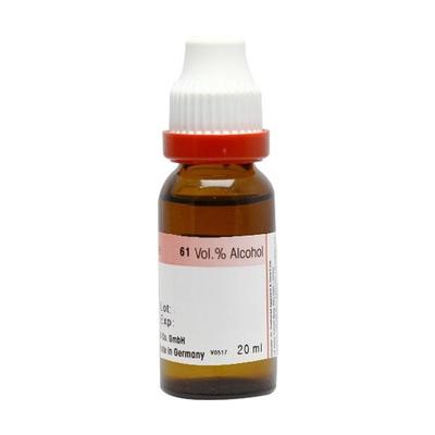 Dr. Reckeweg Byonia Alb. Ø Liquid 20 ml - Mother Tincture