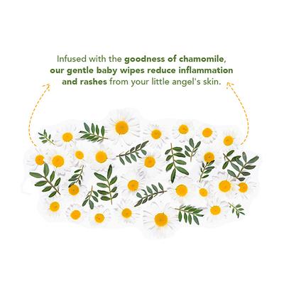 Kara Baby Skincare Wipes 80's - Baby Skin Care