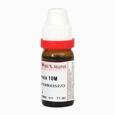 Dr. Reckeweg Sanguinaria Canadensis 10M Liquid 11 ml - Dilutions