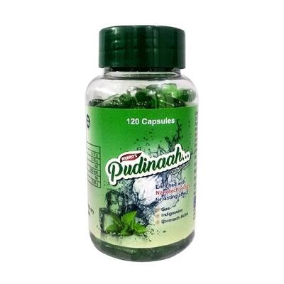 Arbro's Pudinaah Instant Capsule 120's - General Health