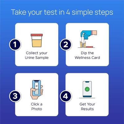 Neodocs Wellness Care Instant Urine Test Kit (Pack of 3) - Health Monitors And Equipment